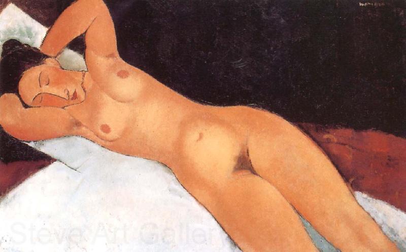 Amedeo Modigliani Nude with necklace Spain oil painting art
